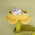 Spot Indoor Cat Climbing Toys